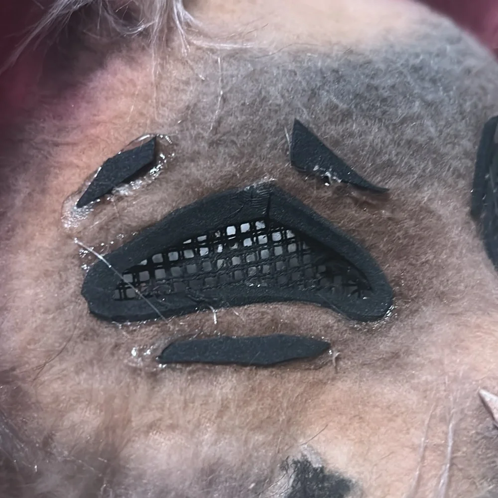 Cat mask